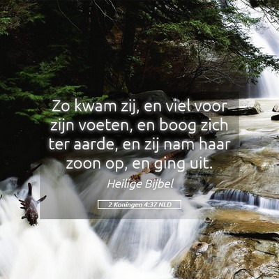 Picture 05 - 2 Koningen 4:37 NLD - Zo kwam zij, en viel voor zijn voeten, en boog - Bible Verse Picture