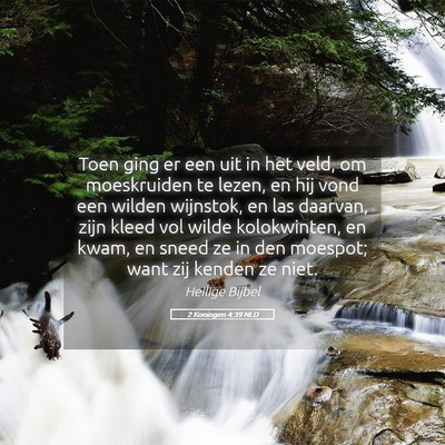Picture 05 - 2 Koningen 4:39 NLD - Toen ging er een uit in het veld, om moeskruiden - Bible Verse Picture