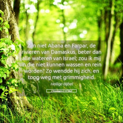Picture 05 - 2 Koningen 5:12 NLD - Zijn niet Abana en Farpar, de rivieren van - Bible Verse Picture