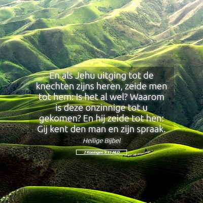 Picture 05 - 2 Koningen 9:11 NLD - En als Jehu uitging tot de knechten zijns heren, - Bible Verse Picture