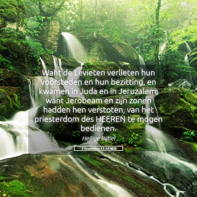 Picture 05 - 2 Kronieken 11:14 NLD - Want de Levieten verlieten hun voorsteden en hun - Bible Verse Picture