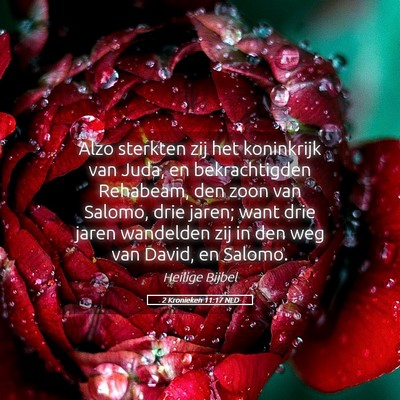 Picture 05 - 2 Kronieken 11:17 NLD - Alzo sterkten zij het koninkrijk van Juda, en - Bible Verse Picture