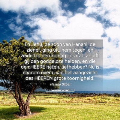 Picture 05 - 2 Kronieken 19:2 NLD - En Jehu, de zoon van Hanani, de ziener, ging uit, - Bible Verse Picture