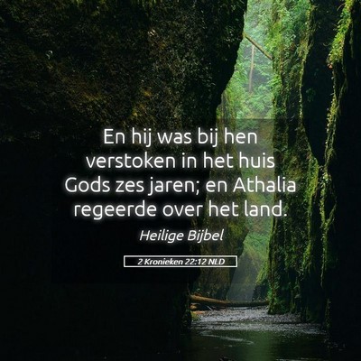 Picture 05 - 2 Kronieken 22:12 NLD - En hij was bij hen verstoken in het huis Gods zes - Bible Verse Picture