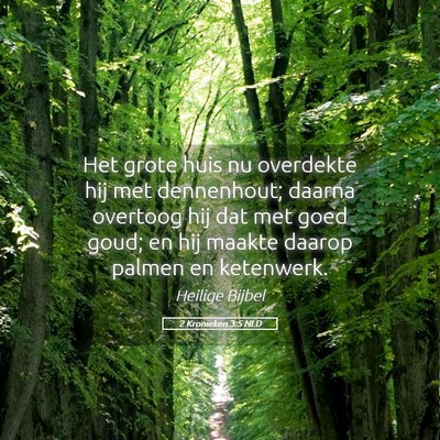 Picture 05 - 2 Kronieken 3:5 NLD - Het grote huis nu overdekte hij met dennenhout; - Bible Verse Picture