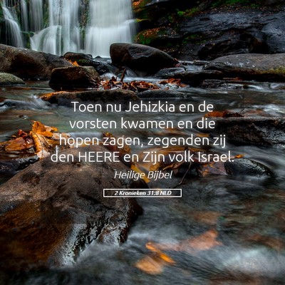 Picture 05 - 2 Kronieken 31:8 NLD - Toen nu Jehizkia en de vorsten kwamen en die - Bible Verse Picture