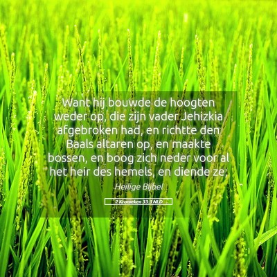 Picture 05 - 2 Kronieken 33:3 NLD - Want hij bouwde de hoogten weder op, die zijn - Bible Verse Picture