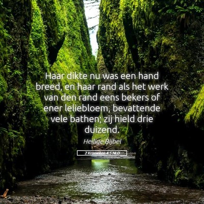 Picture 05 - 2 Kronieken 4:5 NLD - Haar dikte nu was een hand breed, en haar rand - Bible Verse Picture