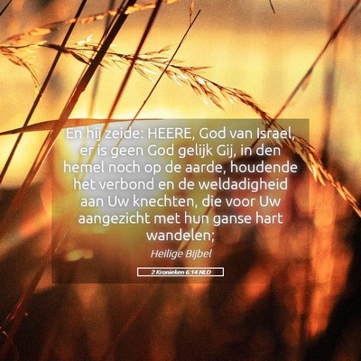 Picture 05 - 2 Kronieken 6:14 NLD - En hij zeide: HEERE, God van Israel, er is geen - Bible Verse Picture