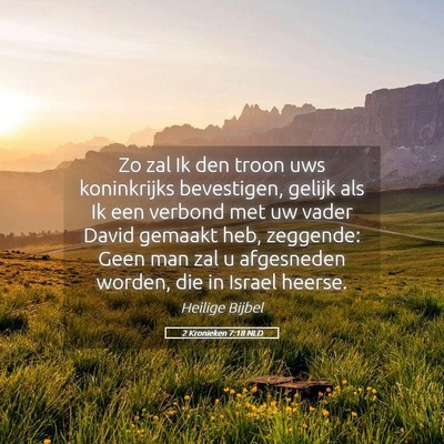 Picture 05 - 2 Kronieken 7:18 NLD - Zo zal Ik den troon uws koninkrijks bevestigen, - Bible Verse Picture