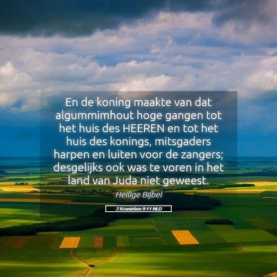 Picture 05 - 2 Kronieken 9:11 NLD - En de koning maakte van dat algummimhout hoge - Bible Verse Picture
