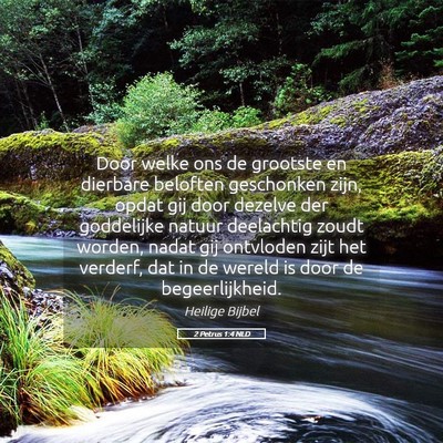 Picture 05 - 2 Petrus 1:4 NLD - Door welke ons de grootste en dierbare beloften - Bible Verse Picture