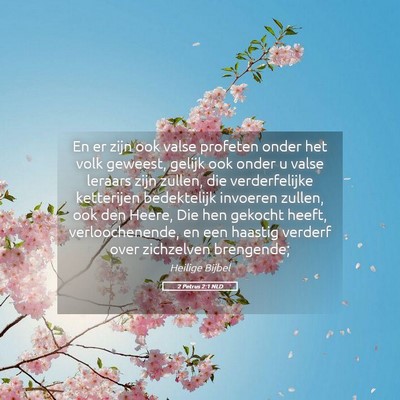 Picture 05 - 2 Petrus 2:1 NLD - En er zijn ook valse profeten onder het volk - Bible Verse Picture