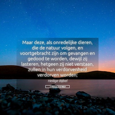 Picture 05 - 2 Petrus 2:12 NLD - Maar deze, als onredelijke dieren, die de natuur - Bible Verse Picture