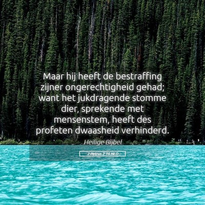 Picture 05 - 2 Petrus 2:16 NLD - Maar hij heeft de bestraffing zijner - Bible Verse Picture
