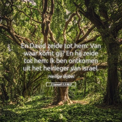 Picture 05 - 2 Samuël 1:3 NLD - En David zeide tot hem: Van waar komt gij? En hij - Bible Verse Picture