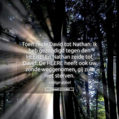 Picture 05 - 2 Samuël 12:13 NLD - Toen zeide David tot Nathan: Ik heb gezondigd - Bible Verse Picture