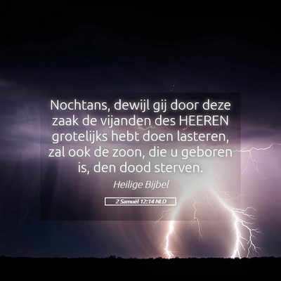 Picture 05 - 2 Samuël 12:14 NLD - Nochtans, dewijl gij door deze zaak de vijanden - Bible Verse Picture