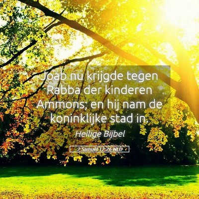 Picture 05 - 2 Samuël 12:26 NLD - Joab nu krijgde tegen Rabba der kinderen Ammons; - Bible Verse Picture