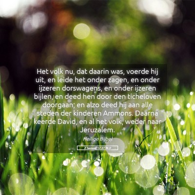 Picture 05 - 2 Samuël 12:31 NLD - Het volk nu, dat daarin was, voerde hij uit, en - Bible Verse Picture