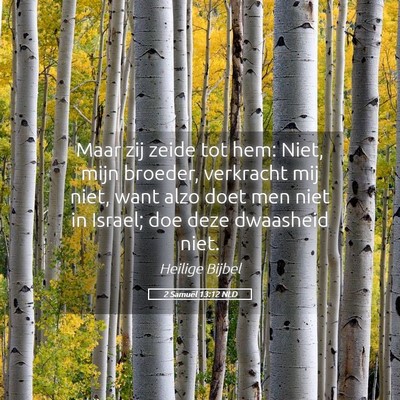 Picture 05 - 2 Samuël 13:12 NLD - Maar zij zeide tot hem: Niet, mijn broeder, - Bible Verse Picture