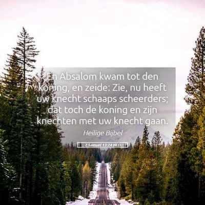 Picture 05 - 2 Samuël 13:24 NLD - En Absalom kwam tot den koning, en zeide: Zie, nu - Bible Verse Picture