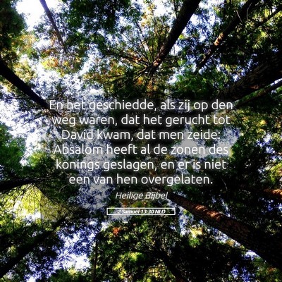 Picture 05 - 2 Samuël 13:30 NLD - En het geschiedde, als zij op den weg waren, dat - Bible Verse Picture