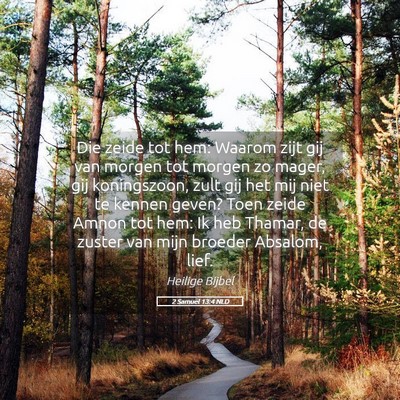 Picture 05 - 2 Samuël 13:4 NLD - Die zeide tot hem: Waarom zijt gij van morgen tot - Bible Verse Picture