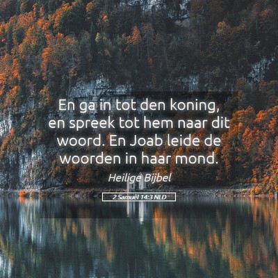 Picture 05 - 2 Samuël 14:3 NLD - En ga in tot den koning, en spreek tot hem naar - Bible Verse Picture