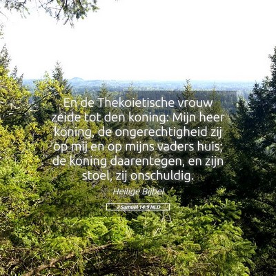 Picture 05 - 2 Samuël 14:9 NLD - En de Thekoietische vrouw zeide tot den koning: - Bible Verse Picture