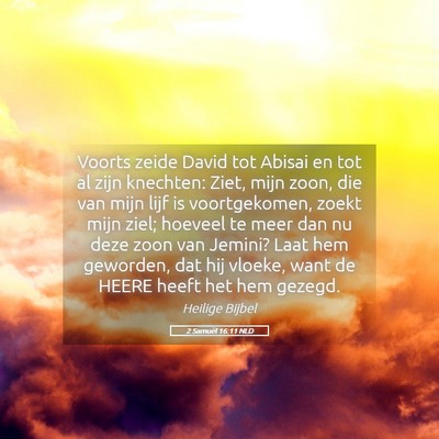 Picture 05 - 2 Samuël 16:11 NLD - Voorts zeide David tot Abisai en tot al zijn - Bible Verse Picture