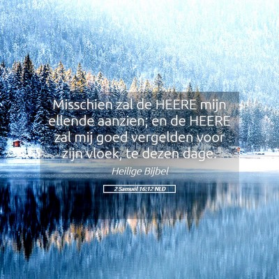 Picture 05 - 2 Samuël 16:12 NLD - Misschien zal de HEERE mijn ellende aanzien; en - Bible Verse Picture