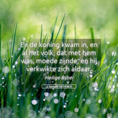 Picture 05 - 2 Samuël 16:14 NLD - En de koning kwam in, en al het volk, dat met hem - Bible Verse Picture
