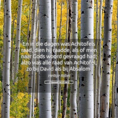 Picture 05 - 2 Samuël 16:23 NLD - En in die dagen was Achitofels raad, dien hij - Bible Verse Picture