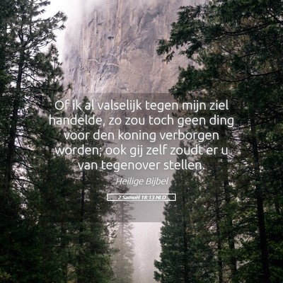 Picture 05 - 2 Samuël 18:13 NLD - Of ik al valselijk tegen mijn ziel handelde, zo - Bible Verse Picture