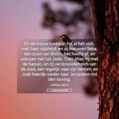 Picture 05 - 2 Samuël 20:22 NLD - En de vrouw kwam in tot al het volk, met haar - Bible Verse Picture
