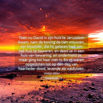 Picture 05 - 2 Samuël 20:3 NLD - Toen nu David in zijn huis te Jeruzalem kwam, nam - Bible Verse Picture