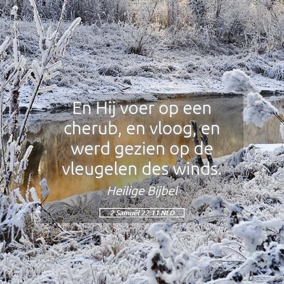 Picture 05 - 2 Samuël 22:11 NLD - En Hij voer op een cherub, en vloog, en werd - Bible Verse Picture