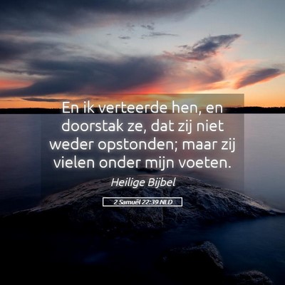 Picture 05 - 2 Samuël 22:39 NLD - En ik verteerde hen, en doorstak ze, dat zij niet - Bible Verse Picture