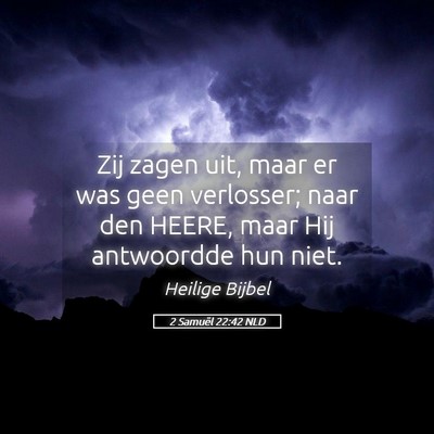 Picture 05 - 2 Samuël 22:42 NLD - Zij zagen uit, maar er was geen verlosser; naar - Bible Verse Picture