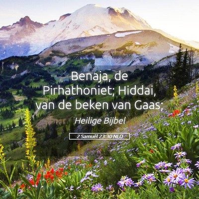 Picture 05 - 2 Samuël 23:30 NLD - Benaja, de Pirhathoniet; Hiddai, van de beken van - Bible Verse Picture