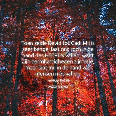 Picture 05 - 2 Samuël 24:14 NLD - Toen zeide David tot Gad: Mij is zeer bange; laat - Bible Verse Picture