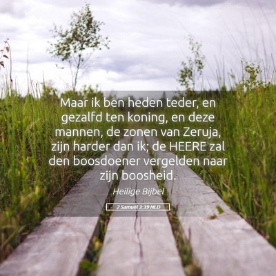 Picture 05 - 2 Samuël 3:39 NLD - Maar ik ben heden teder, en gezalfd ten koning, - Bible Verse Picture