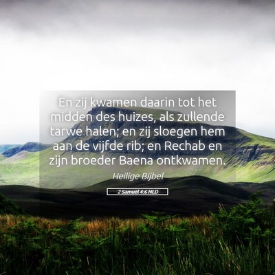 Picture 05 - 2 Samuël 4:6 NLD - En zij kwamen daarin tot het midden des huizes, - Bible Verse Picture