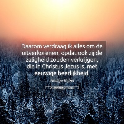Picture 05 - 2 Timotheüs 2:10 NLD - Daarom verdraag ik alles om de uitverkorenen, - Bible Verse Picture