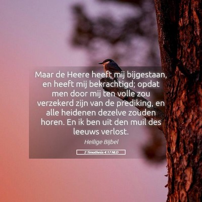 Picture 05 - 2 Timotheüs 4:17 NLD - Maar de Heere heeft mij bijgestaan, en heeft mij - Bible Verse Picture