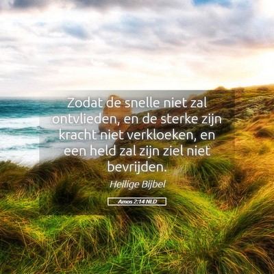 Picture 05 - Amos 2:14 NLD - Zodat de snelle niet zal ontvlieden, en de sterke - Bible Verse Picture