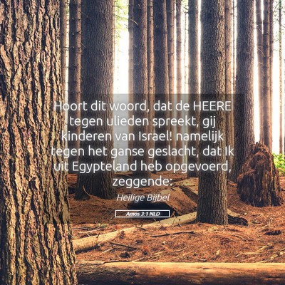 Picture 05 - Amos 3:1 NLD - Hoort dit woord, dat de HEERE tegen ulieden - Bible Verse Picture