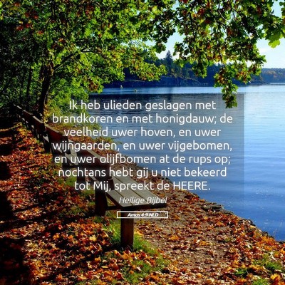 Picture 05 - Amos 4:9 NLD - Ik heb ulieden geslagen met brandkoren en met - Bible Verse Picture