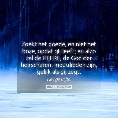 Picture 05 - Amos 5:14 NLD - Zoekt het goede, en niet het boze, opdat gij - Bible Verse Picture